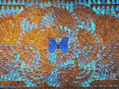 -上海昆虫博物馆