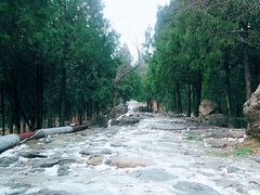 -阳台山自然风景区