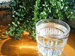 -餐酒吧Com-ing Bar(上海路店)