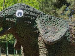 -长白岛森林公园