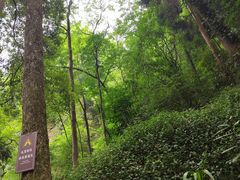 -青城山