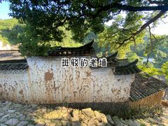 -杨家堂村
