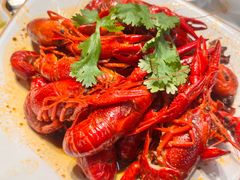 -海底捞火锅(朗悦公园茂·生日主题店)