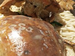 -超级物种(省府店)