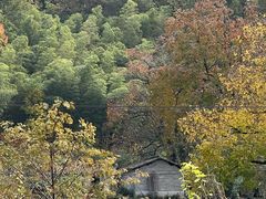 -塔川景区