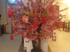 -楼兰印象(朝外店)