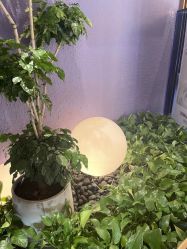 -花隐·美芙炫海菲秀皮肤管理中心