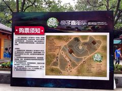 满陇桂雨-杭州少年儿童公园