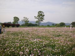 -良渚古城遗址公园
