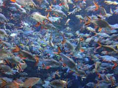 -成都浩海立方海洋公园