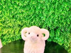 景观位-九府羊·鲜羊火锅·烤串(新华路店)