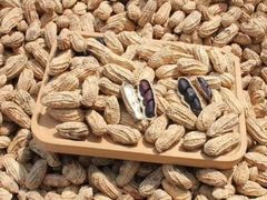 -浙江大学医学院附属第一医院(庆春院区)