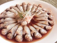 -半岛公馆(淞兴西路店)