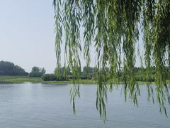 -白洋淀景区
