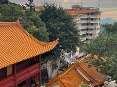 -深圳仙湖植物园