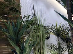 -兰湘子·湘菜小炒(崂山丽达店)