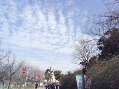 -田园东方蜜桃村的田野营地