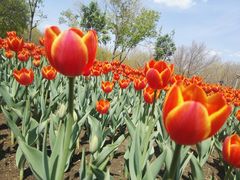 -长春公园(普阳街道)