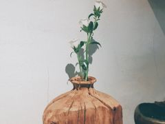 用餐区-茶是一枝花泡茶店