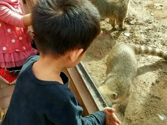 -石家庄市动物园