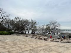 -宝安西湾红树林湿地公园