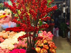 -朝来春花卉市场