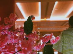 -蓝鲸湾汤泉(包河店)