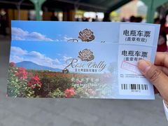 -亚龙湾国际玫瑰谷
