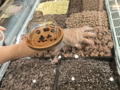 -巧克玩家·城市伴手礼(in88银泰店)