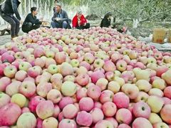 -灵山卢梅燕粉店