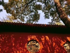 -开福禅寺