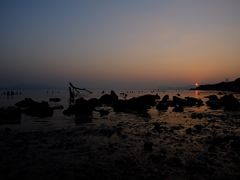 -深圳湾公园(南山区)
