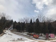 -龙口南山旅游景区