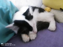 -申普宠物医院·眼科·心内科·影像科(普陀分院)