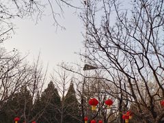 -月坛公园