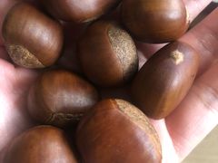 -阿男野栗王(金门路店)