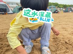 -碧海金沙