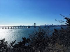 -星海湾跨海大桥