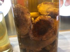 -鲜菌江湖正宗野生菌火锅