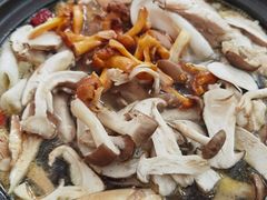 -蘑统田下·野生菌火锅