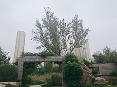 -济南国际园博园