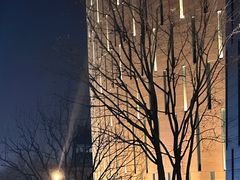 -中国宋庆龄青少年科技文化交流中心