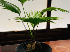 -许家菜(望江店)