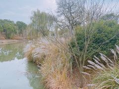 -梁鸿国家湿地公园