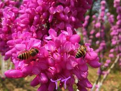 -白塘生态植物园