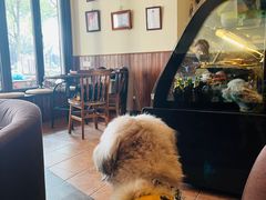 -CafeDuVillage乡村咖啡馆(美邻苑店)