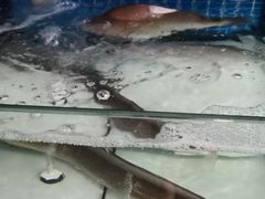 -阿伍海鲜大排档(塔湾金沙店)