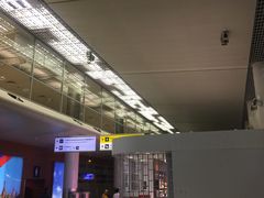 -谢列梅捷沃国际机场