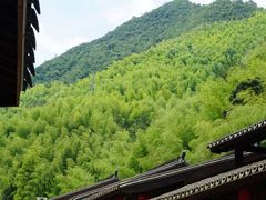 -花溪风景区