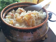 -姚记抚仙湖野生菌石锅鱼庄